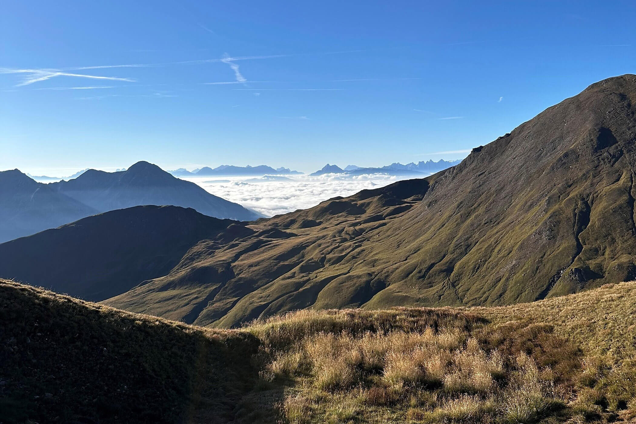 Prati di montagna nella Valle d' Altafossa