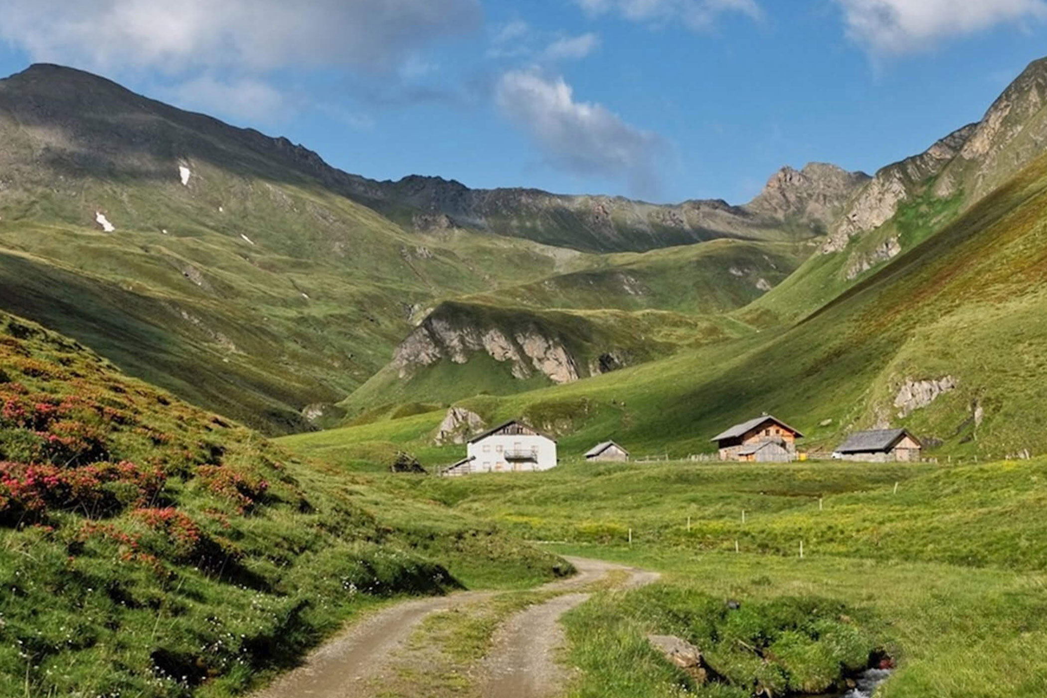 Sentiero escursionistico sul Picco della Croce in estate