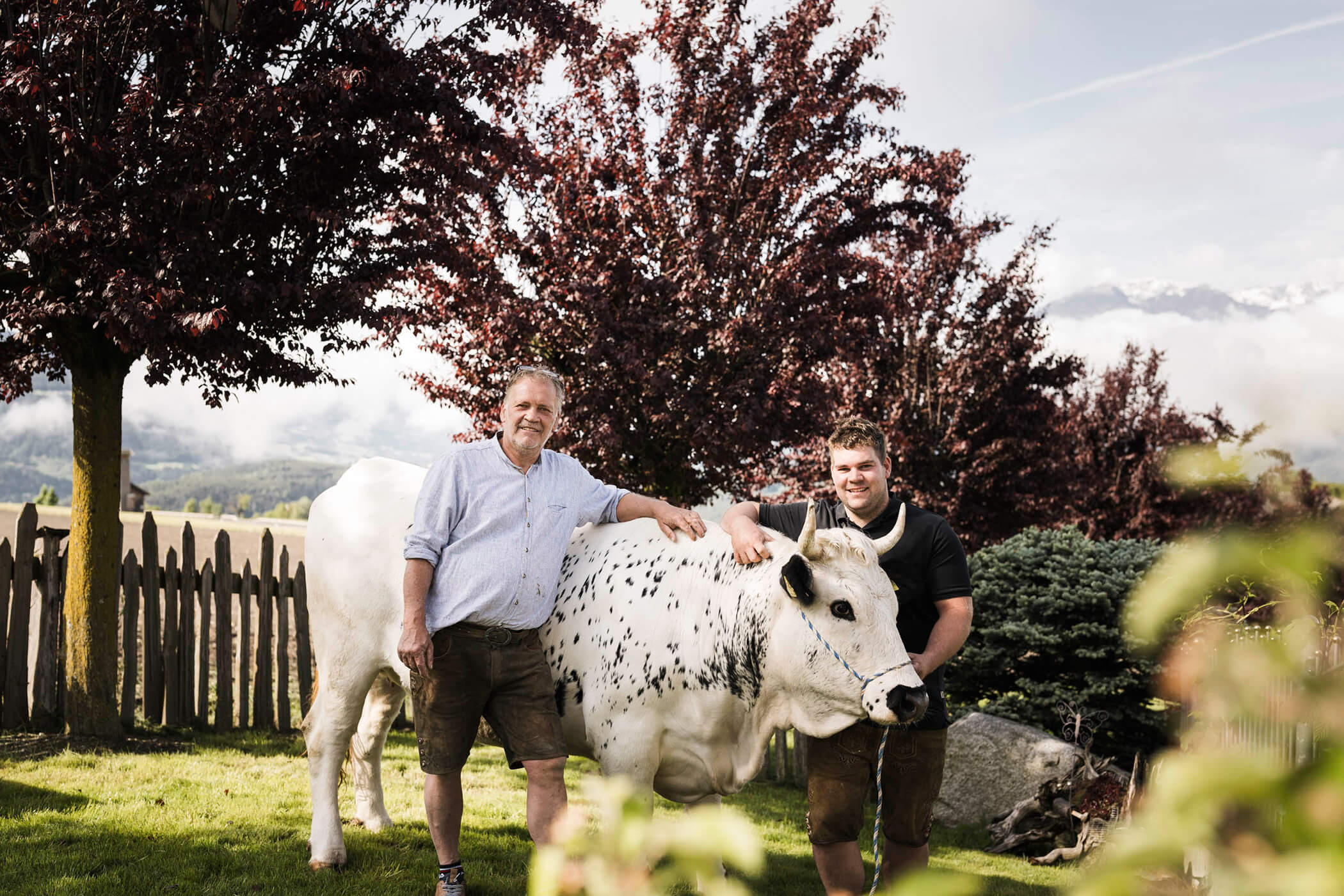 I padroni di casa con una mucca della razza Simmental