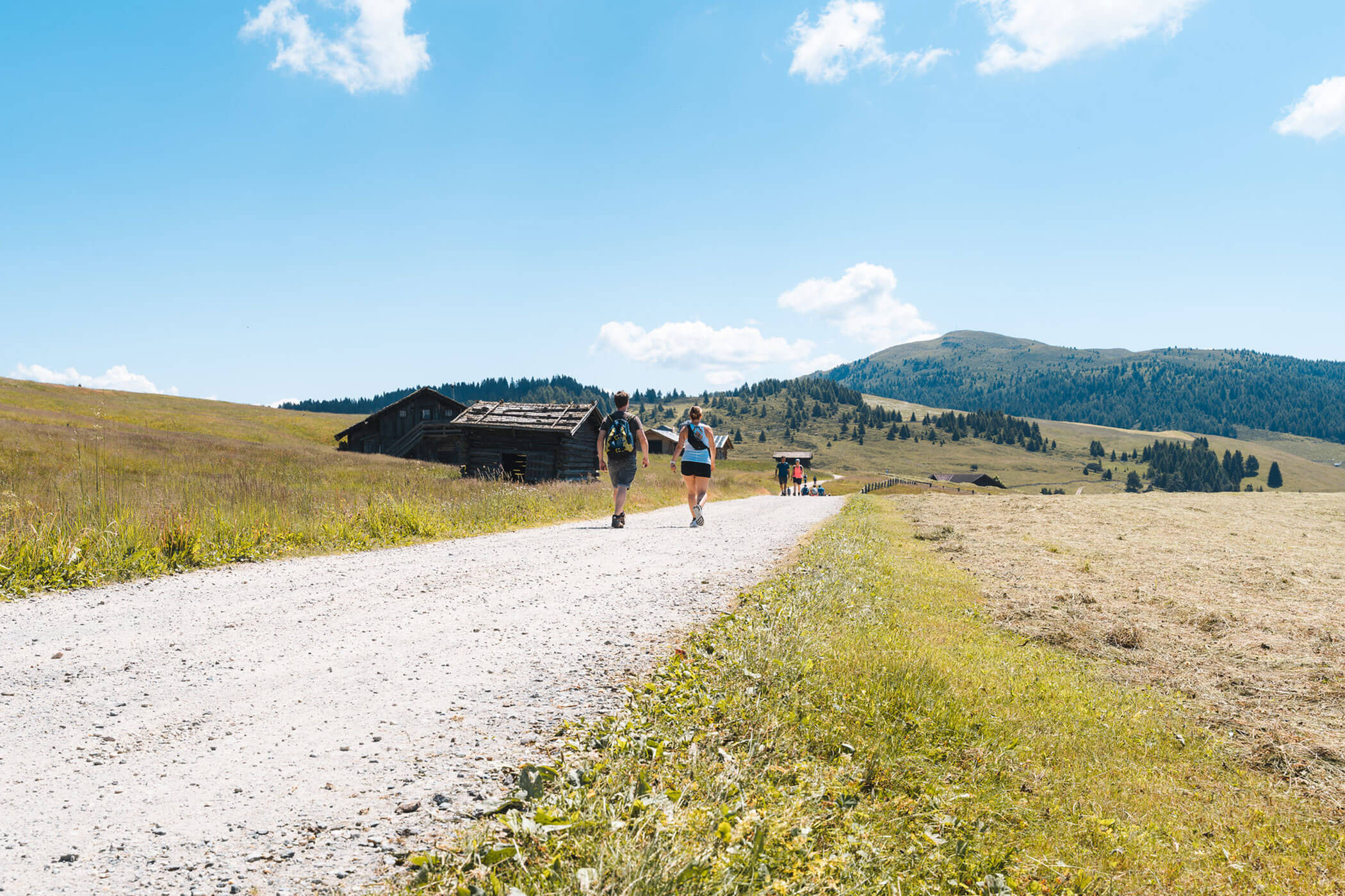 Wanderer auf einem breiter Schotterweg im Sommer