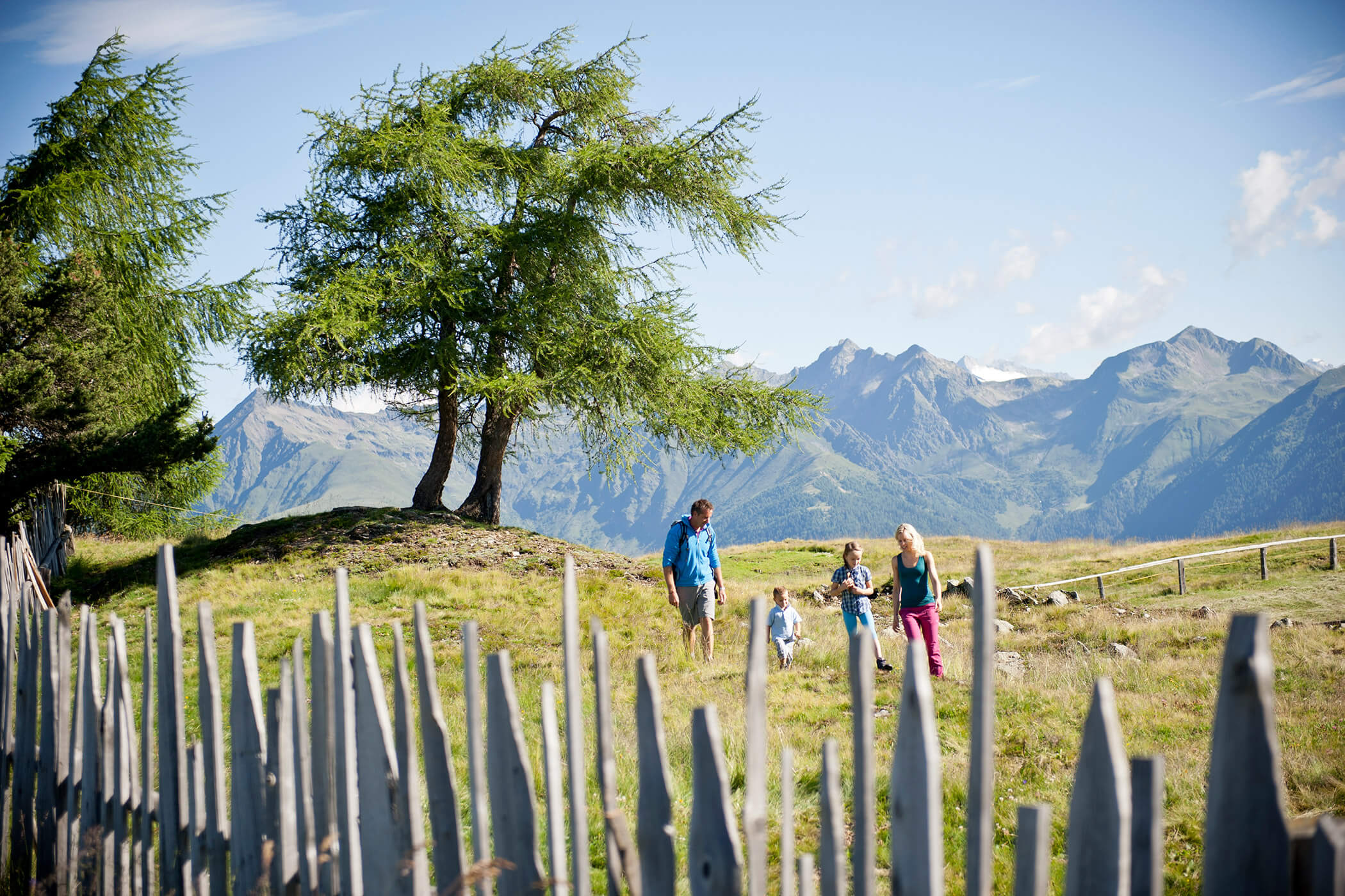 Famiglia che passeggia su un prato alpino in estate